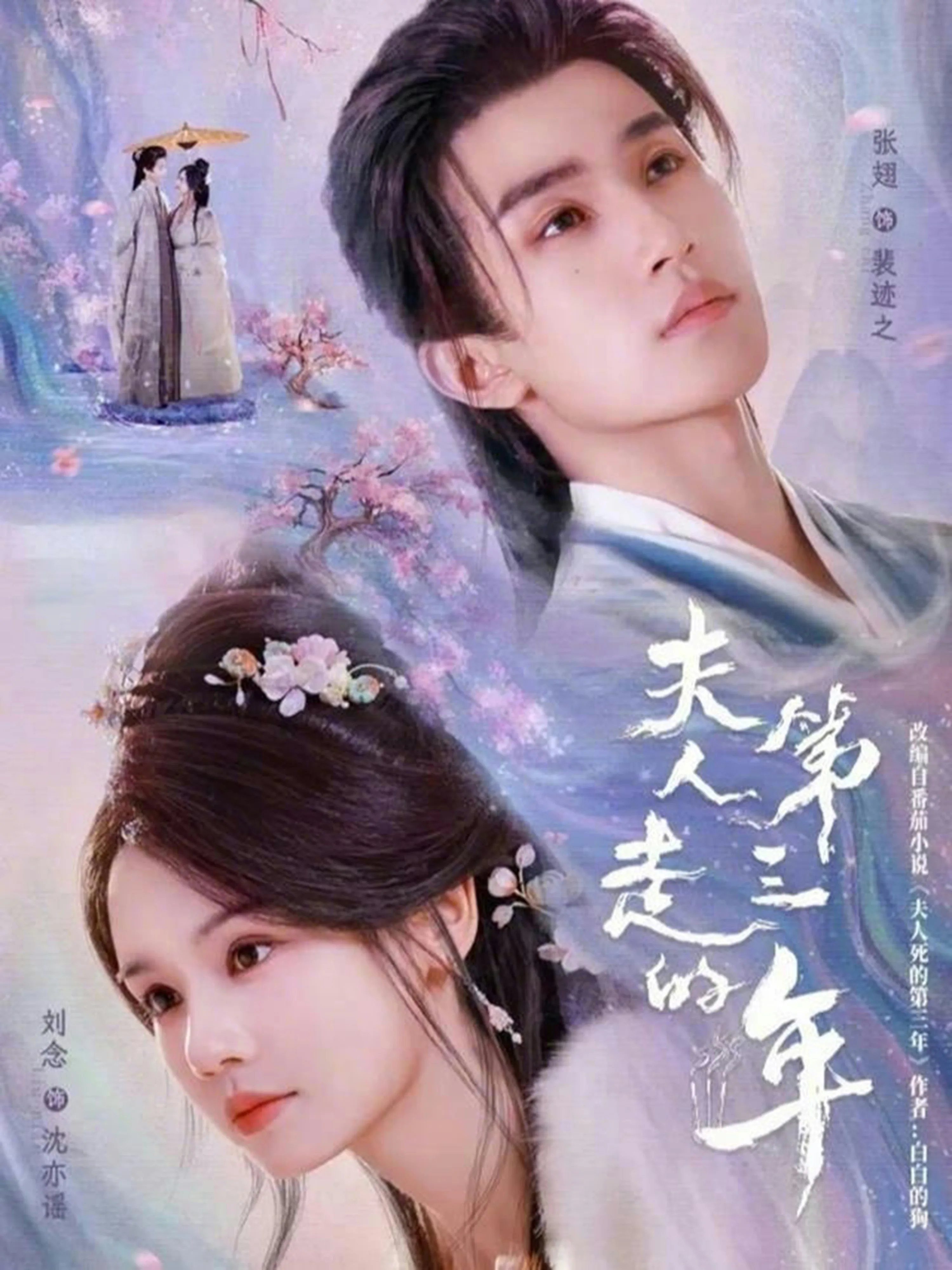 夫人走的第三年