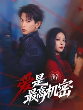爱是最高机密