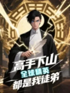 高手下山全球精英都是我徒弟
