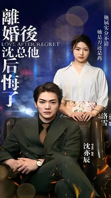 离婚后,沈总他后悔了