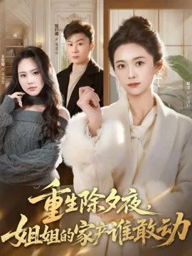 重生除夕夜,姐姐的家产谁敢动