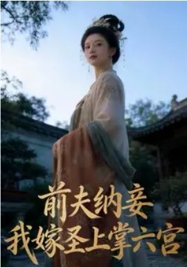 前夫纳妾,我嫁圣上掌六宫