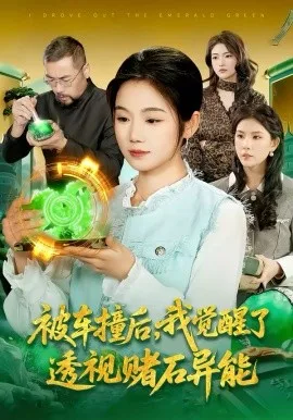 被车撞后,我觉醒了透视赌石异能了