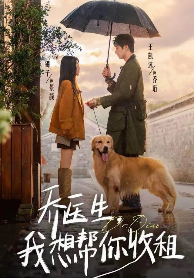 乔医生,我想帮你收租