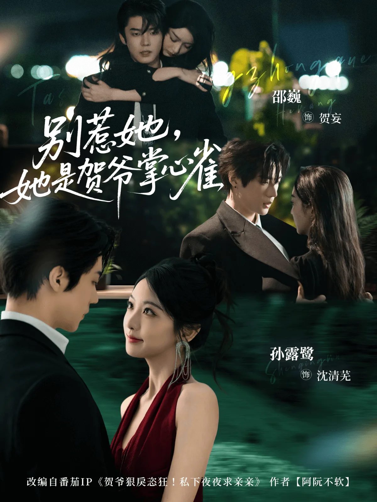 别惹她,她是贺爷掌心雀